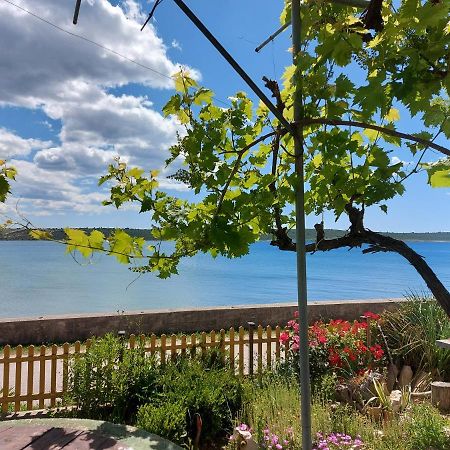 Apartmani Seaview Ljubač Eksteriør billede