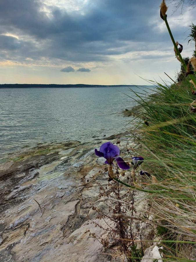Apartmani Seaview Ljubač Eksteriør billede
