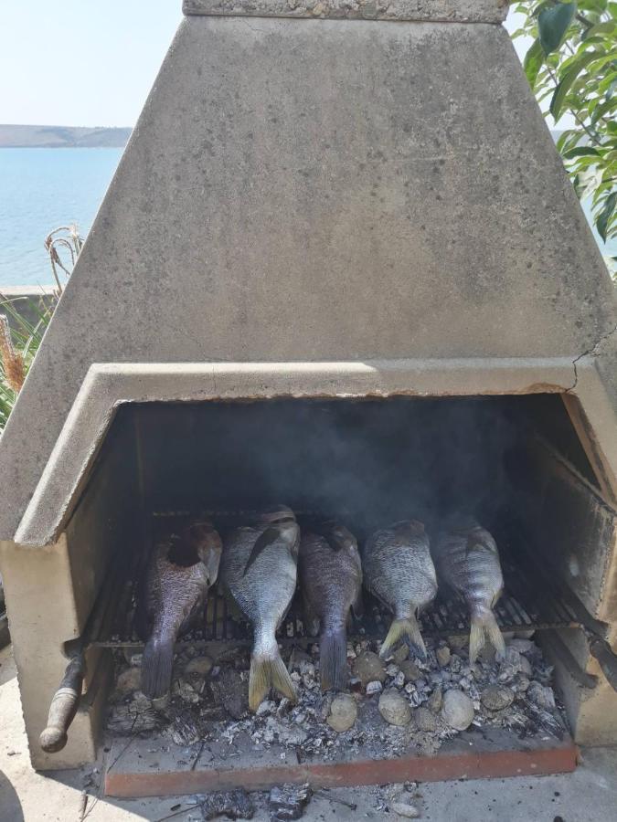 Apartmani Seaview Ljubač Eksteriør billede