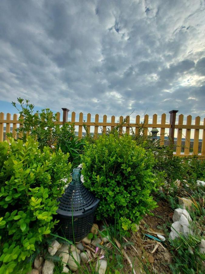 Apartmani Seaview Ljubač Eksteriør billede