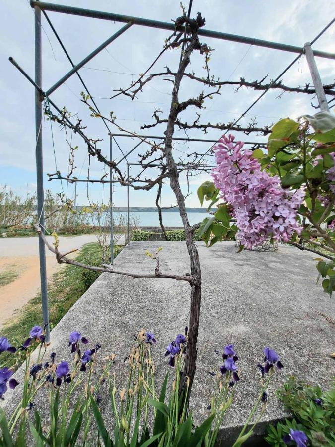 Apartmani Seaview Ljubač Eksteriør billede